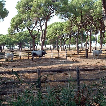 Casale Gli Ulivi Vila Orbetello Exterior foto