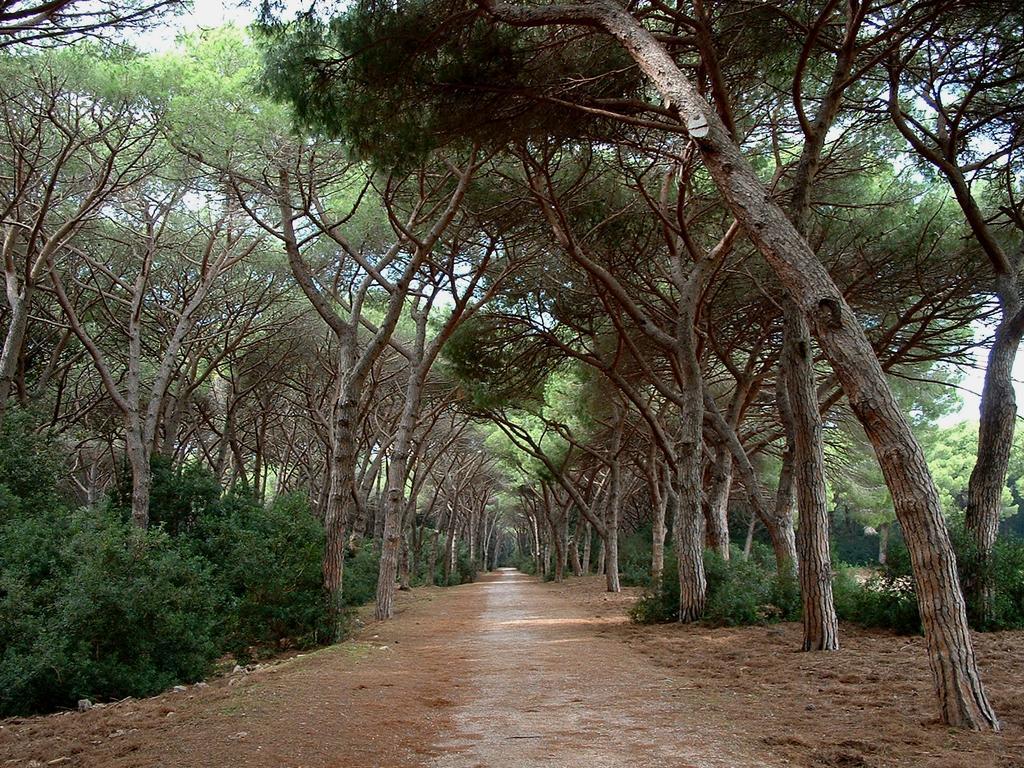 Casale Gli Ulivi Vila Orbetello Exterior foto